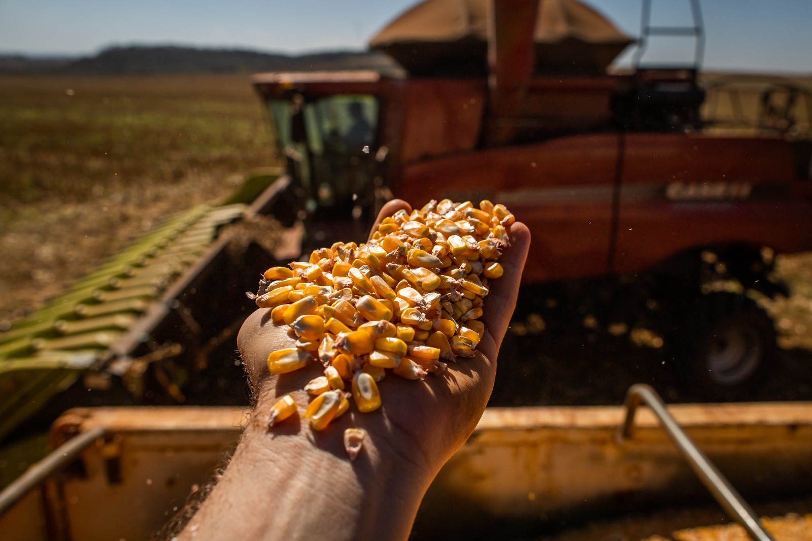 Adial divulga números do Agro