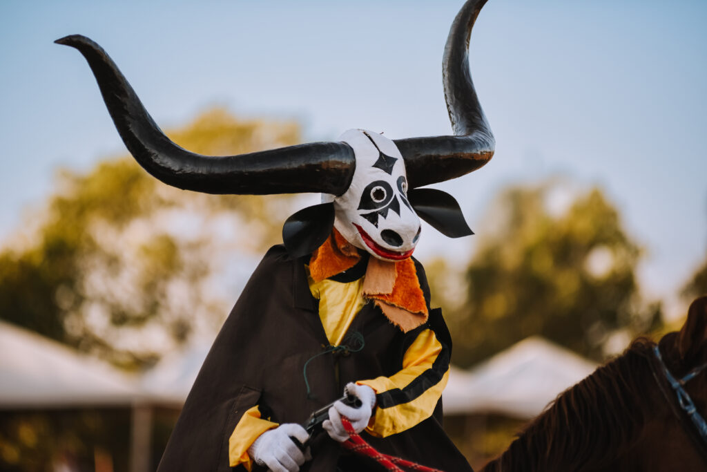 cavalhadas Santa Terezinha