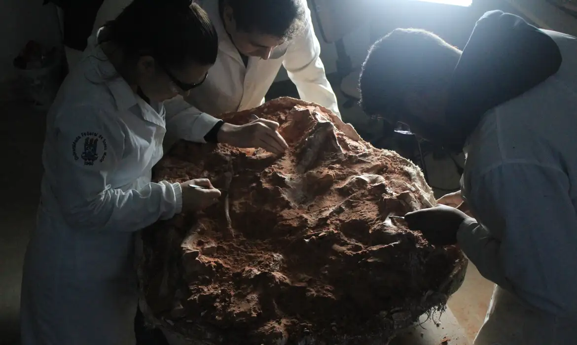 fossil dinossauro RS