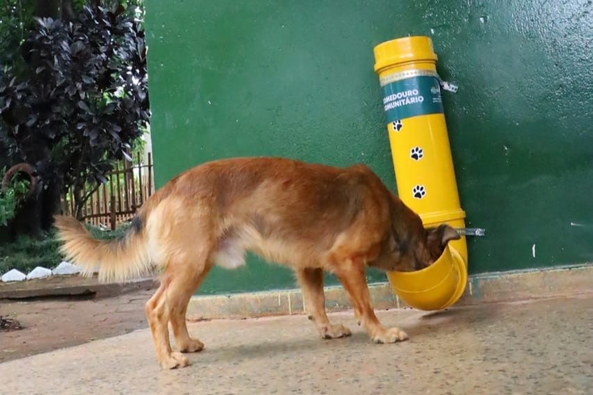 Previsão de uma nova onda de calor