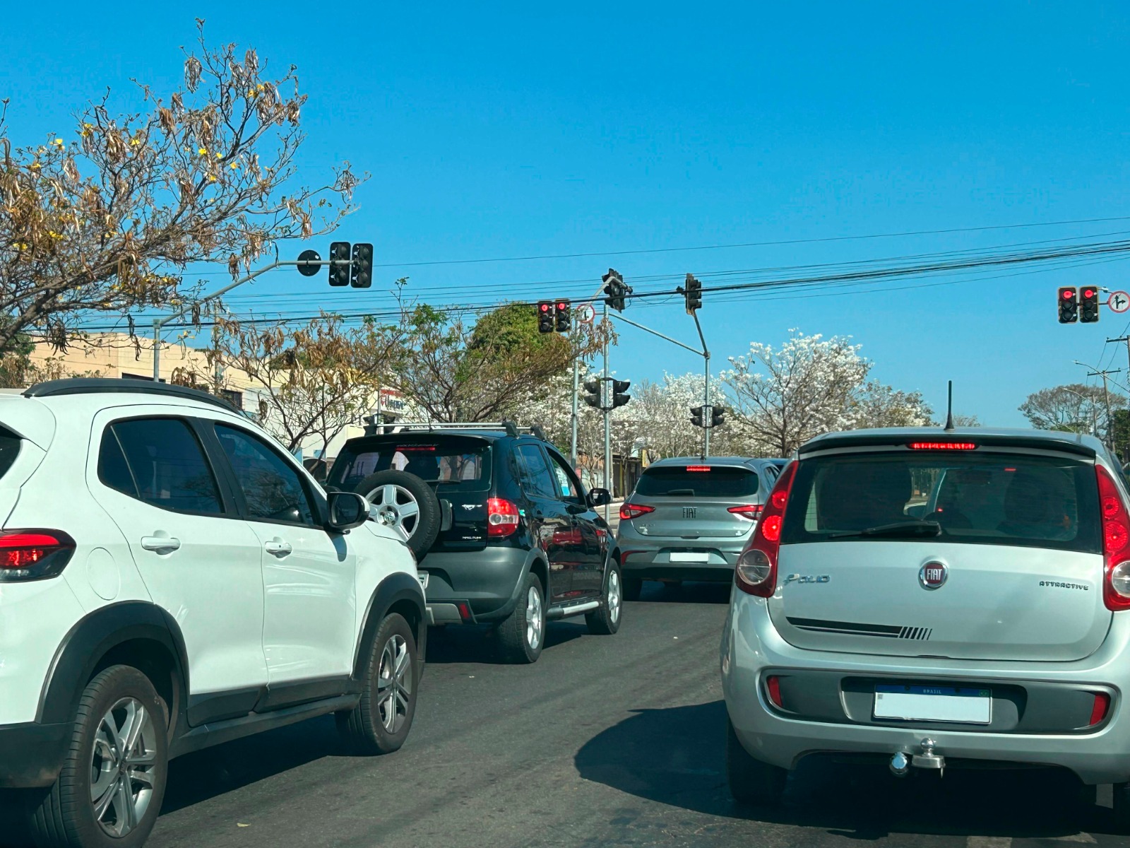 carros rua