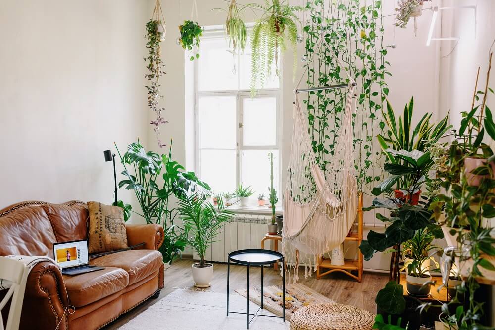 Plantas para ambientes internos