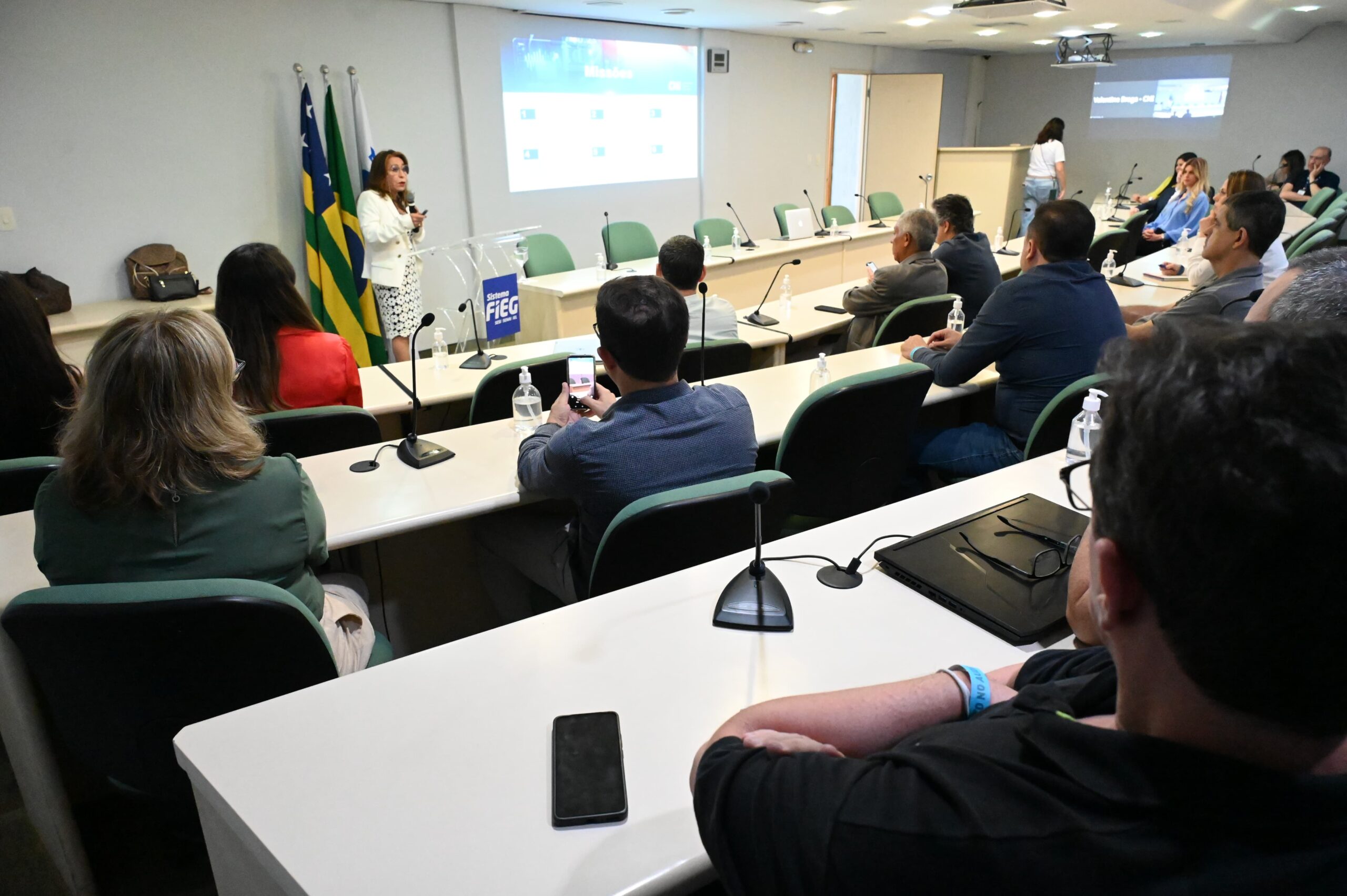 Fieg e Sebrae
