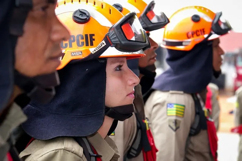 Média salarial das mulheres em Goiás