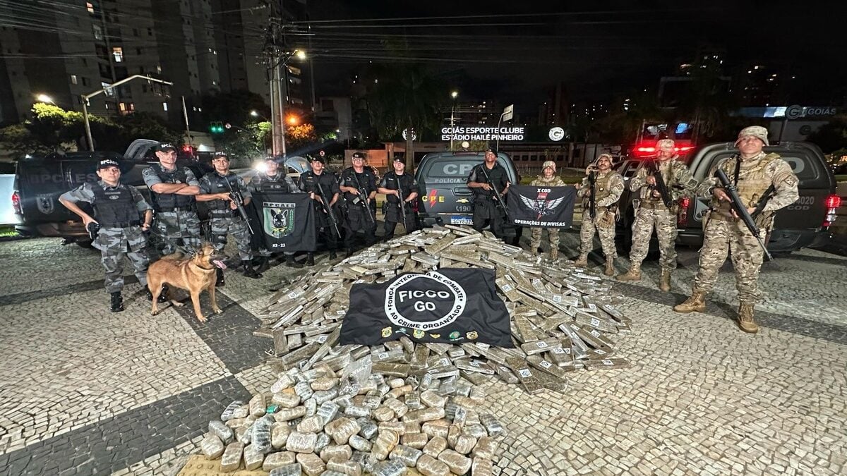 PM apreende arsenal e 2 toneladas