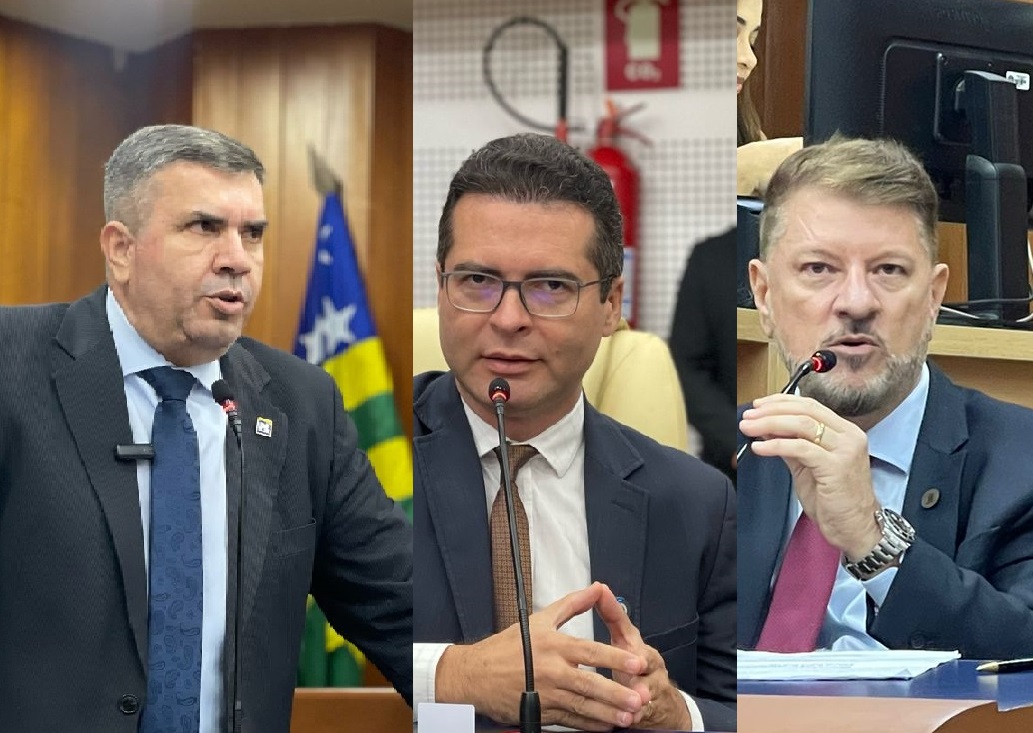 Projeto em Goiânia propõe direito