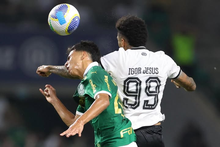 Botafogo e Palmeiras disputam vaga