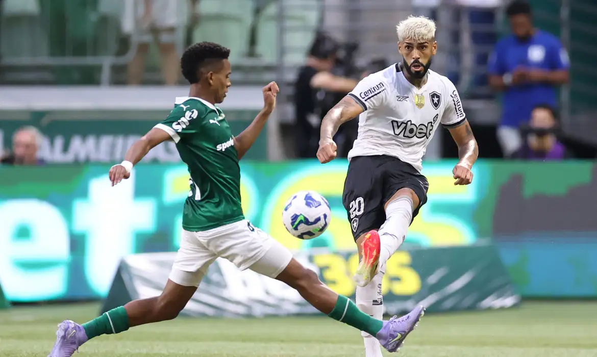 Palmeiras elimina Botafogo