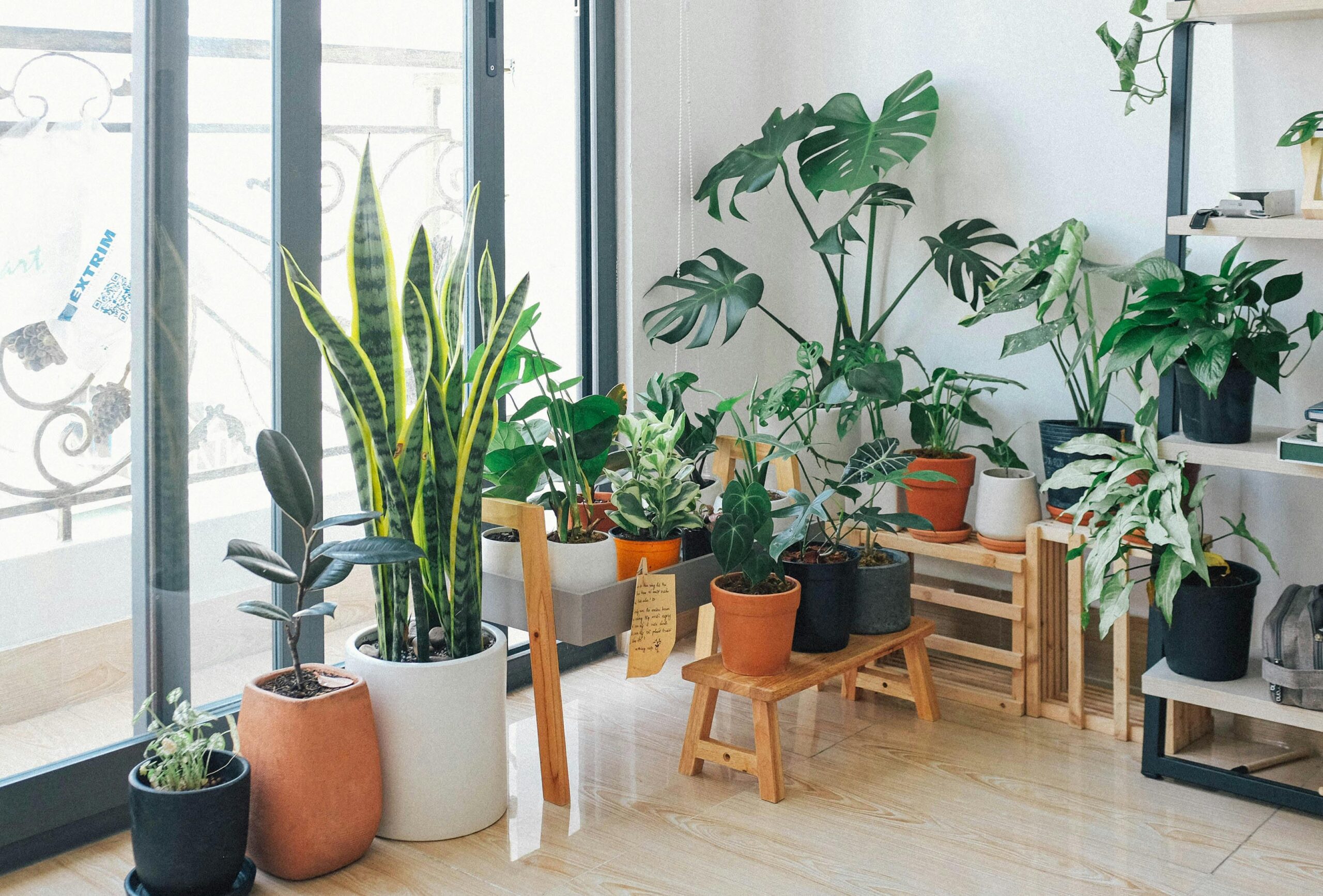 Pedacinho da natureza para dentro da sua casa